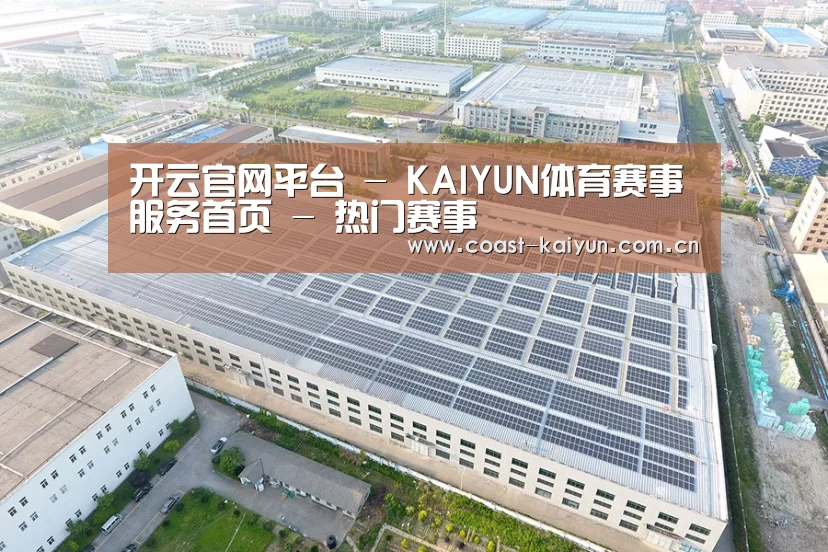 案例展示二