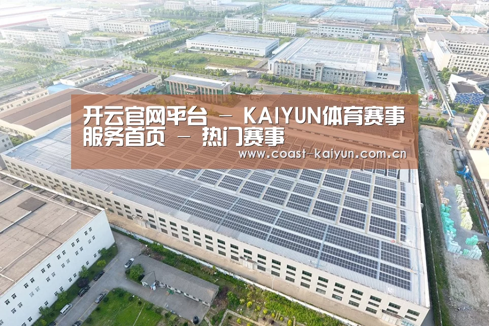 案例展示一