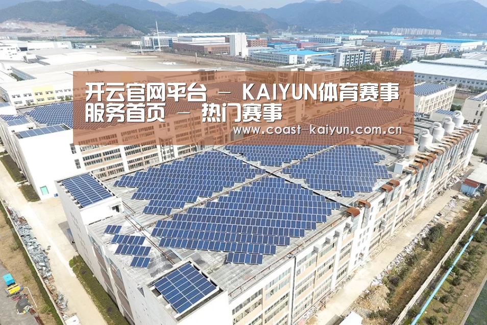 案例展示四