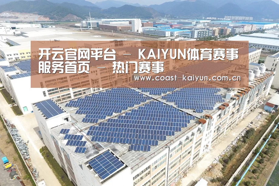 案例展示三
