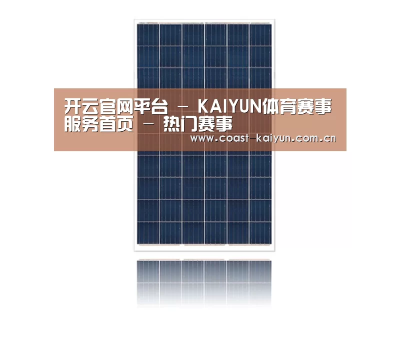 产品名称一
