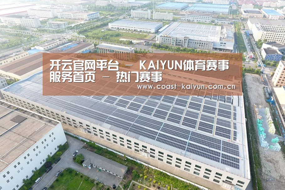 案例展示二