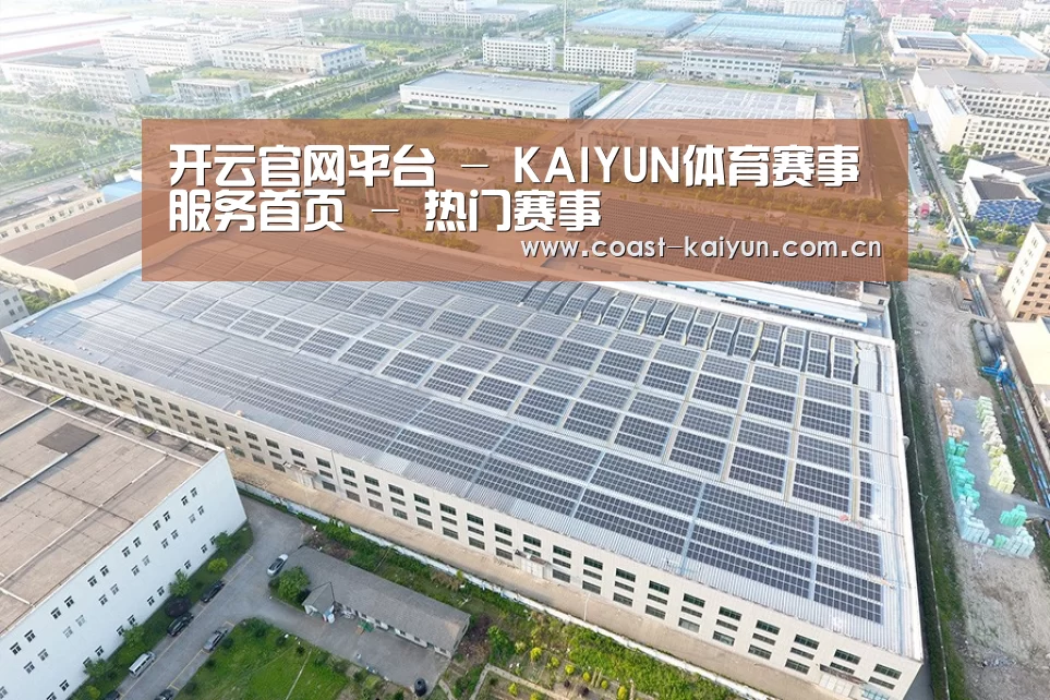 案例展示三
