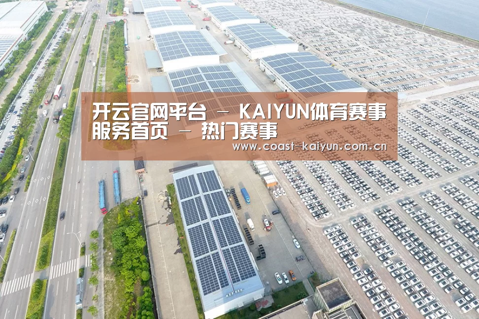 案例展示一