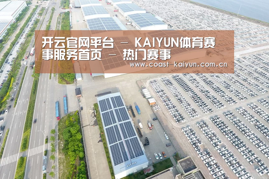 案例展示一