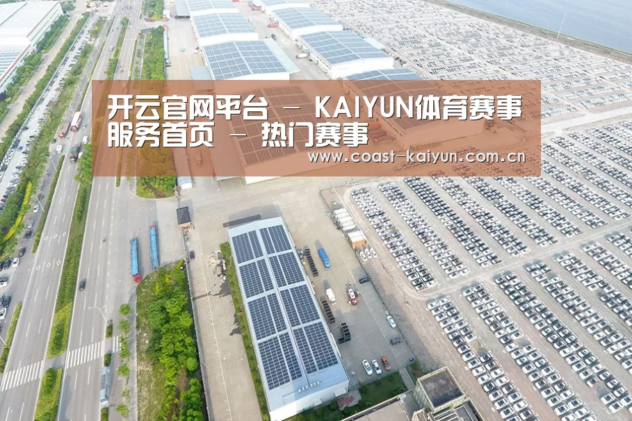 案例展示三