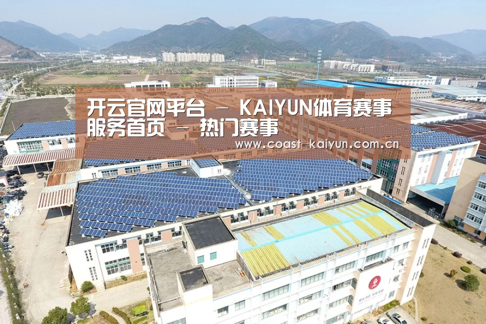 案例展示三