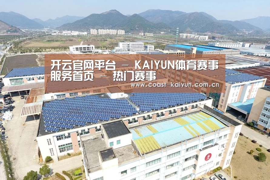 案例展示三