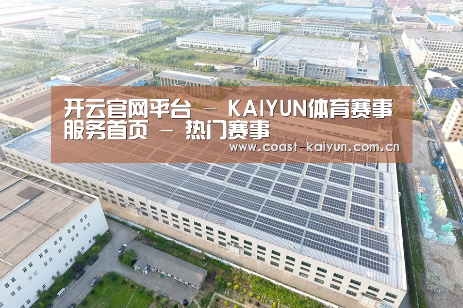 案例展示四