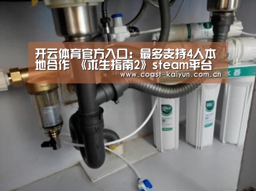 开云体育官方入口:最多支持4人本地合作 《求生指南2》steam平台促销(图3) 开云官网首页