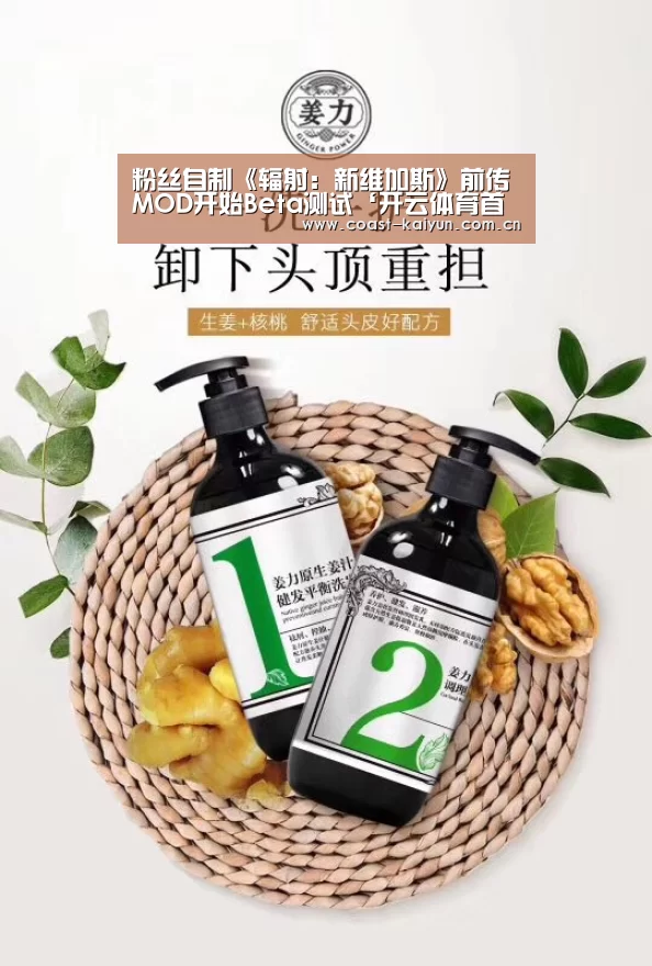 粉丝自制《辐射:新维加斯》前传MOD开始Beta测试‘开云体育首页’(图4) 开云官网首页