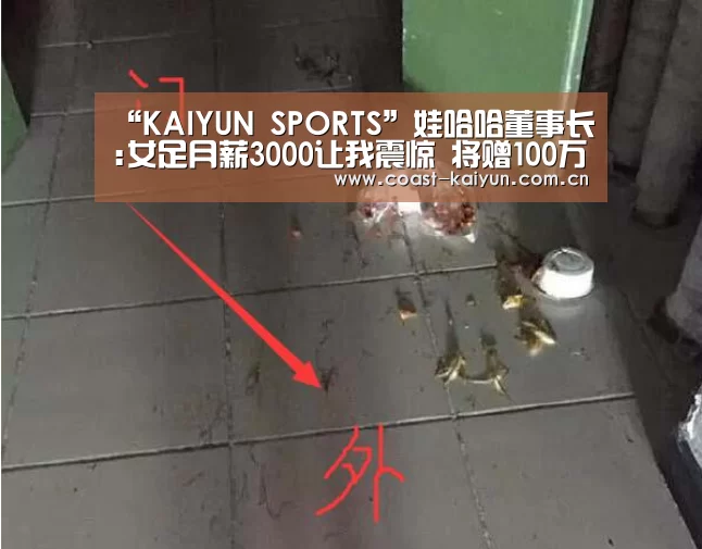 KAIYUN SPORTS