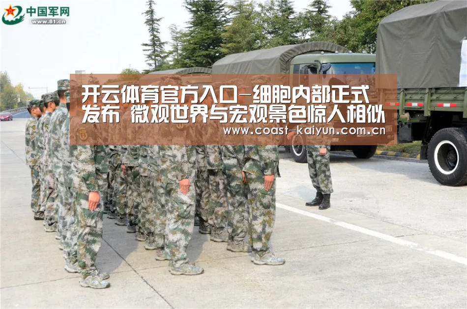 开云官网首页