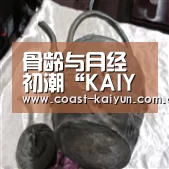 开云体育官方入口