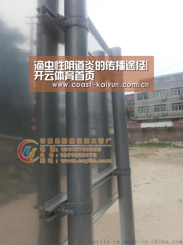 滴虫性阴道炎的传播途径|开云体育首页(图1) 开云体育首页